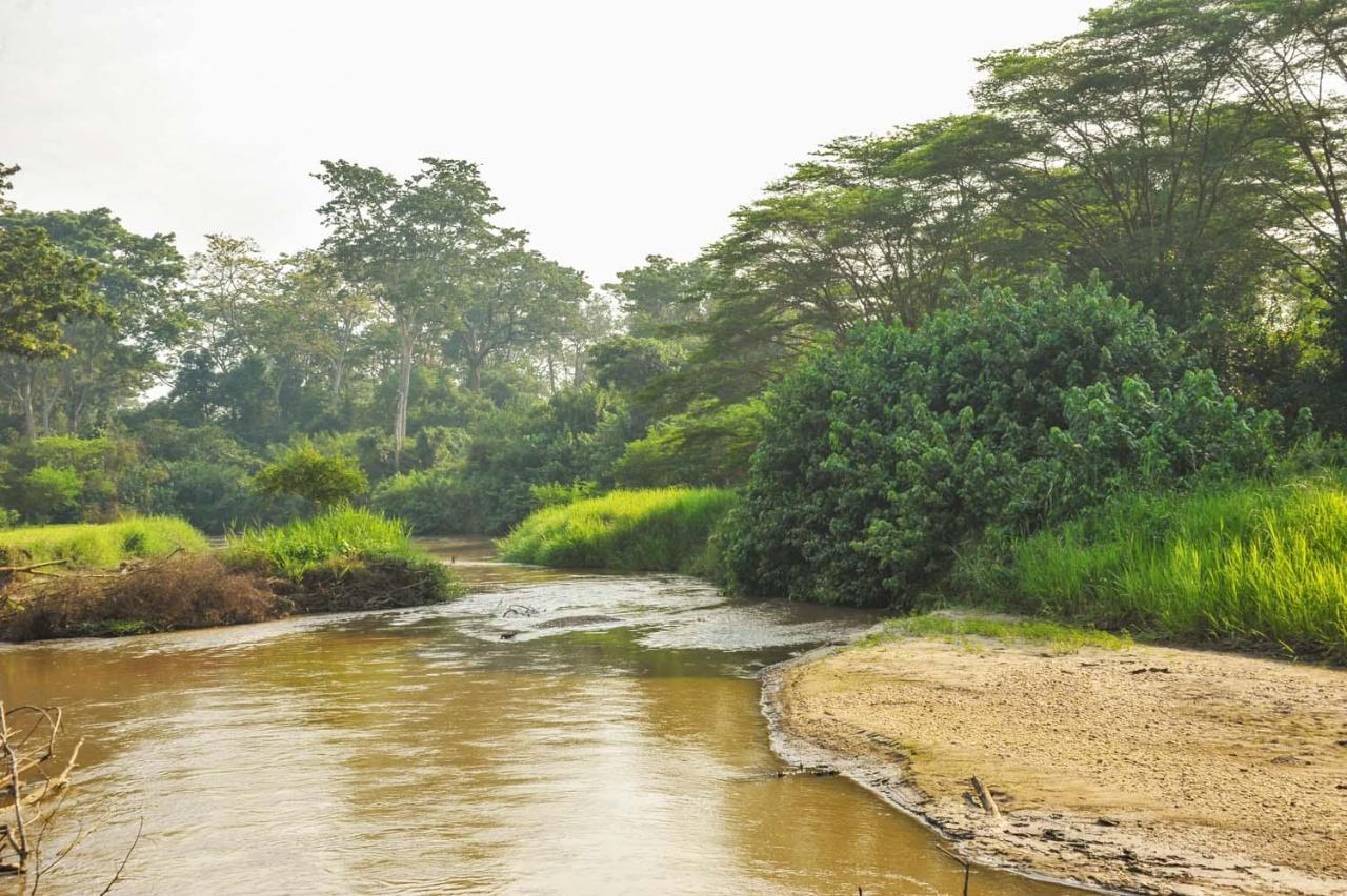 Kihihi Bullbush River Camp المظهر الخارجي الصورة