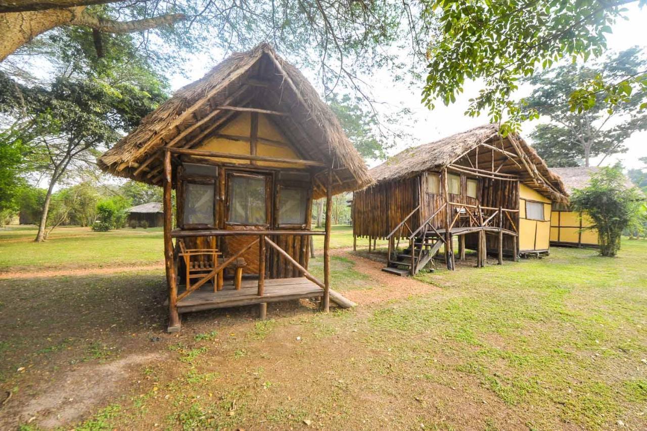 Kihihi Bullbush River Camp المظهر الخارجي الصورة