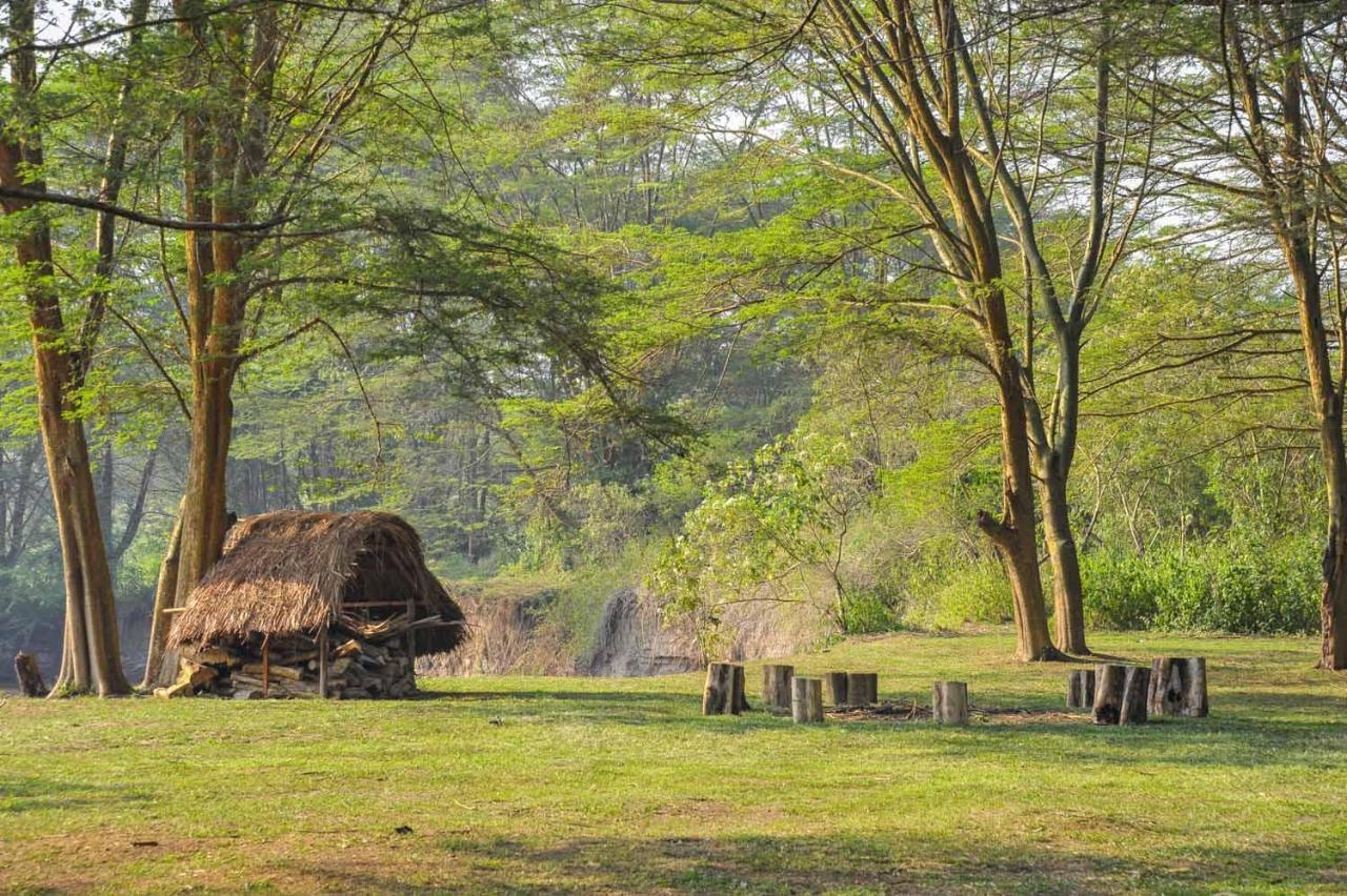 Kihihi Bullbush River Camp المظهر الخارجي الصورة